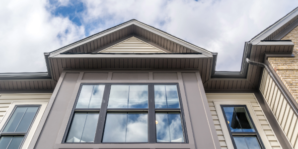 Freeburg windows